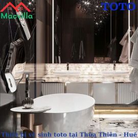 Mua Thiết Bị Vệ Sinh Toto Tại Thừa Thiên Huế Chính Hãng Giá Rẻ Sự Lựa Chọn Hoàn Hảo Cho Mọi Gia Đình 