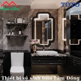Thiết Bị Vệ Sinh Toto Tại Lâm Đồng - Sự Lựa Chọn Hoàn Hảo Của Bạn 
