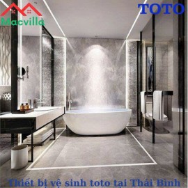 Thiết Bị Vệ Sinh TOTO Tại Thái Bình - Sự Lựa Chọn Hoàn Hảo Cho Không Gian Sống Của Bạn 